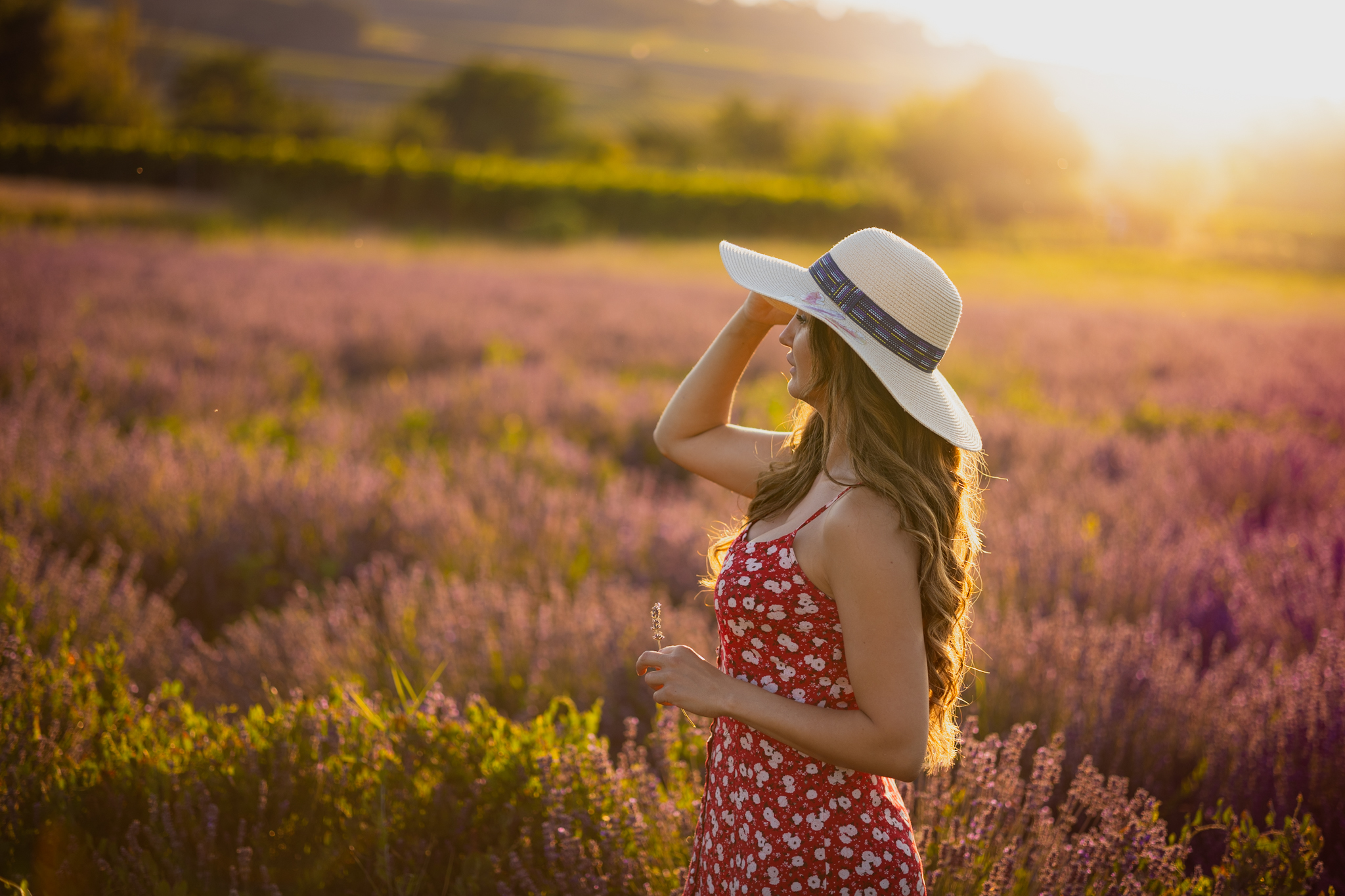 Fotoshooting im Lavendelfeld